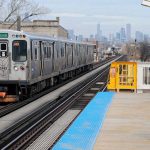 Lincoln Park Zoo: konkurs na nadanie imienia dla pisklęcia
