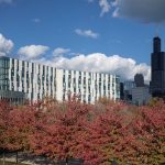 Chicago: parkowanie w okresie zimowym od jutra, przypominamy o zakazie