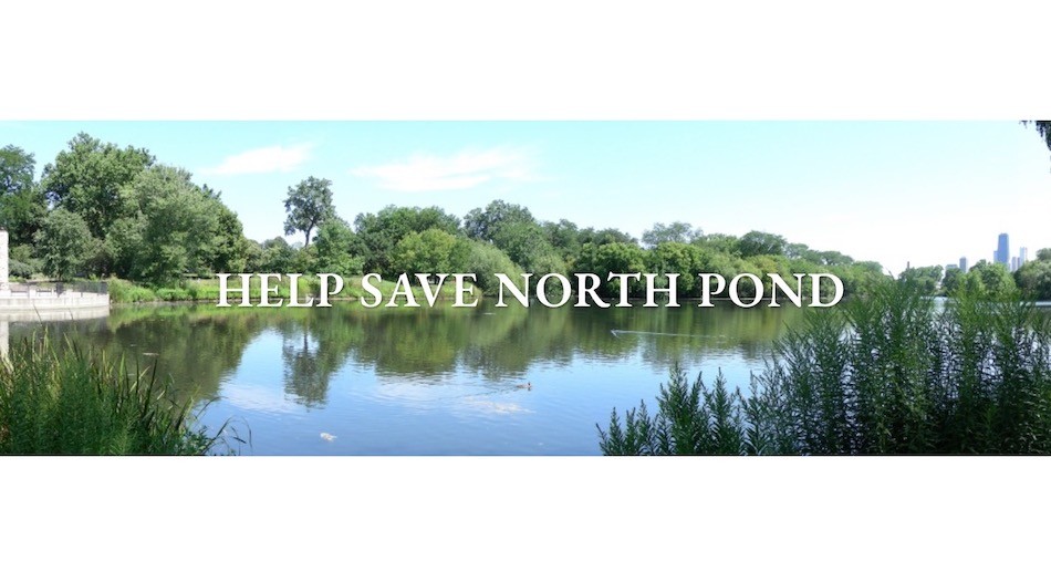 North Pond Lincoln Park staw