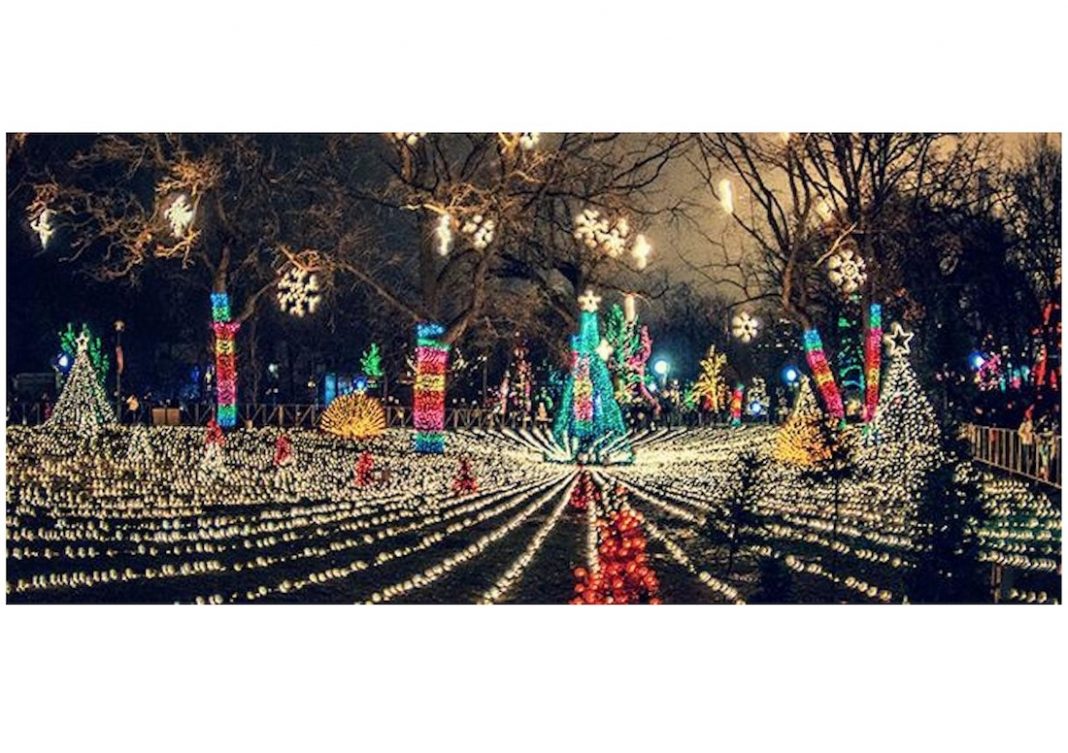 Zoo Lights Lincoln Park