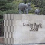 Chicago: pożar wieżowca, 3 osoby zostały poszkodowane