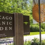 Chicago: 3 osoby zginęły w wypadku na torach kolejki Metra