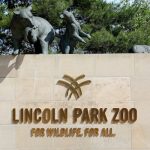 Illinois – Secretary of State: ostrzeżenie przy zakupie używanych pojazdów