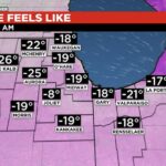 Illinois: w 2020 roku wzrost statystyk dot. aborcji w naszym stanie
