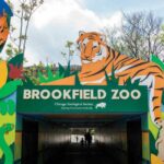 Chicago: strzelanina i wypadek w Jefferson Park, nie żyje mężczyzna