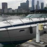 Taylor Swift wystąpi na Soldier Field w Chicago, bilety od pośredników kosztują ponad tysiąc dolarów