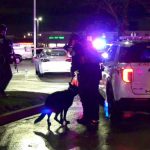 Chicago: strzelanina i wypadek w Oak Park, nie żyje mężczyzna